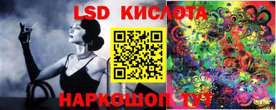 спайс Кулебаки