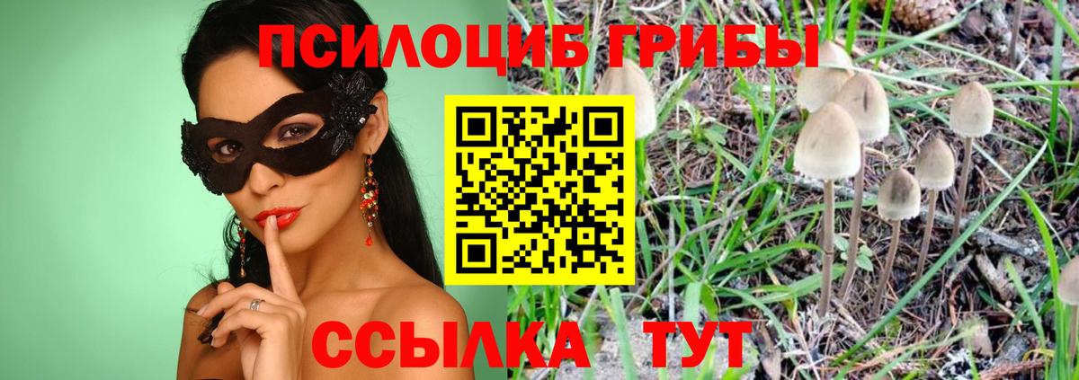 Галлюциногенные грибы Cubensis  Вход с VPN  Егорьевск 