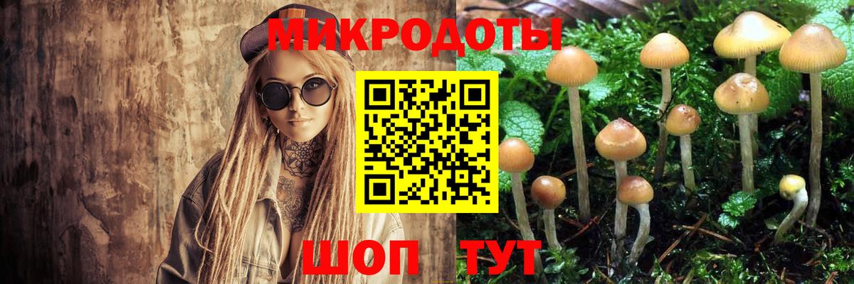 Галлюциногенные грибы мицелий Егорьевск